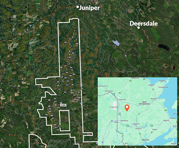 Read more about the article Blasting on Trail 53 – Juniper Area